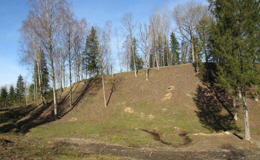 23_Gegrenu piliakalniu takas. A. Brazdeikytes n (5).jpg